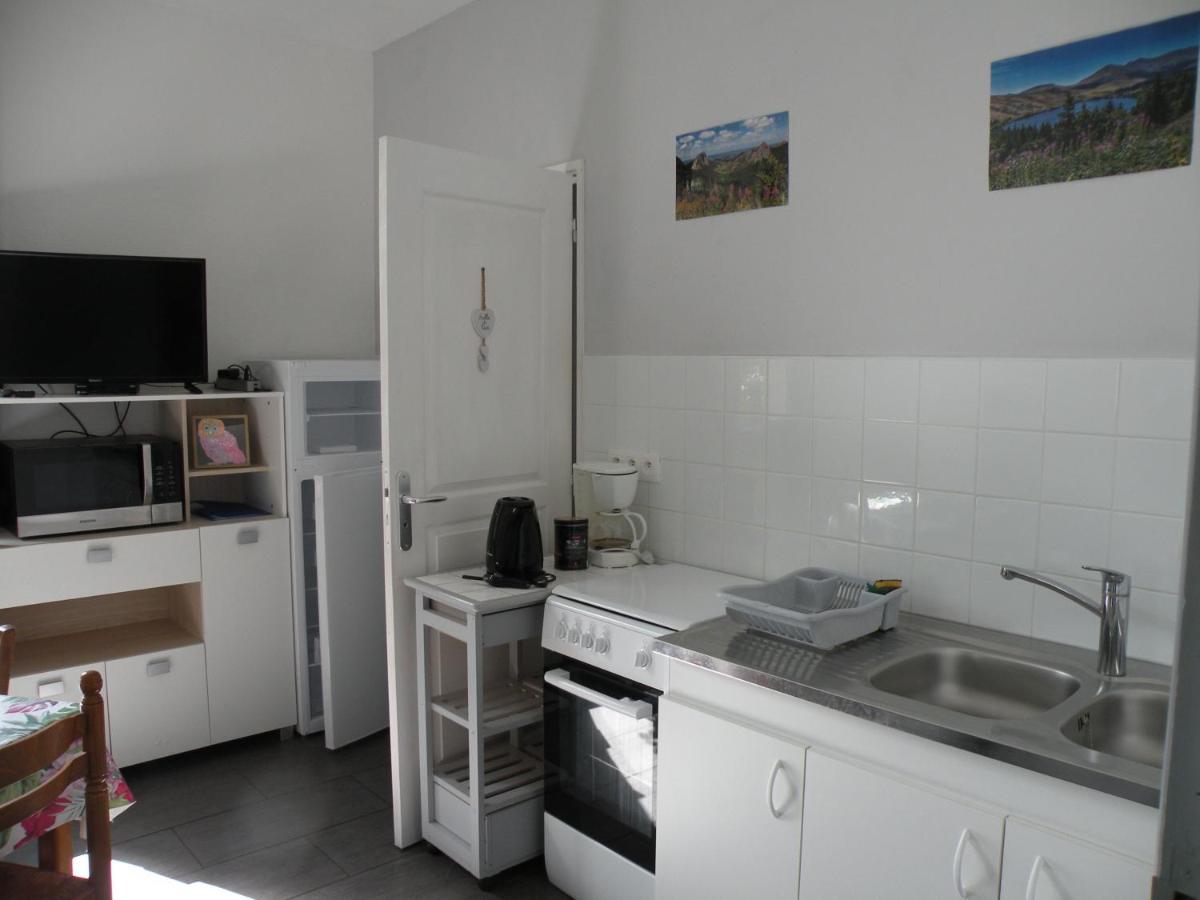 Rose, 4 Pers. Villa Saint Antoine, Orcival, Sancy Exterior foto